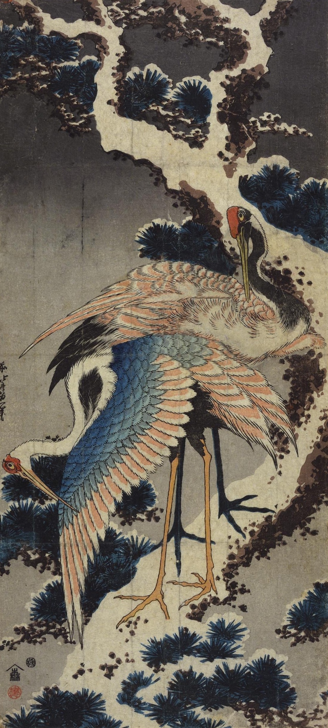 Two cranes on a snowy pine branch