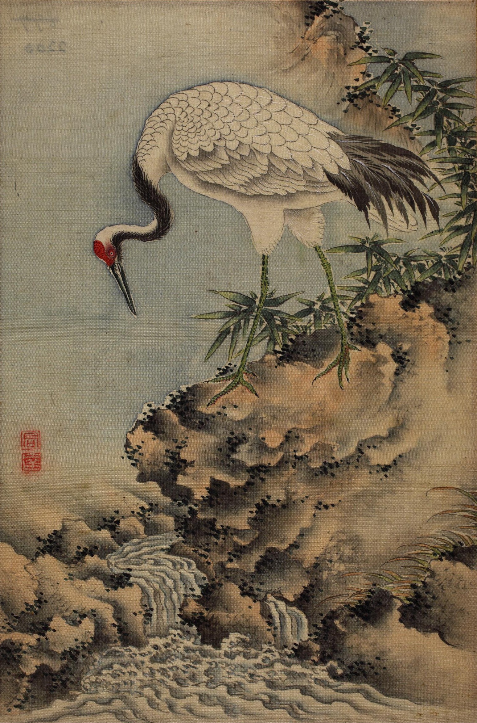 Crane above torrent