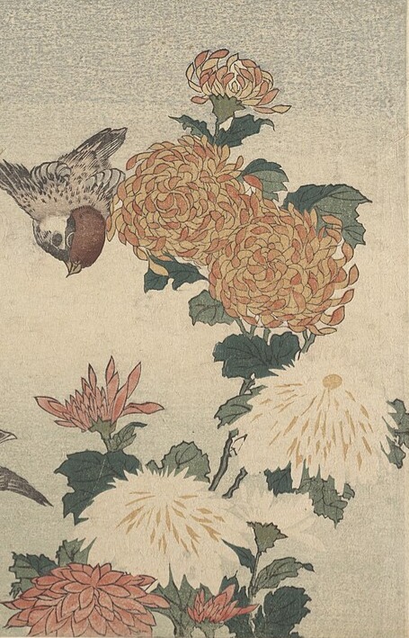 Sparrows and Chrysanthemums