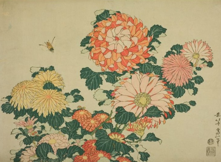 Chrysanthemums and Bee